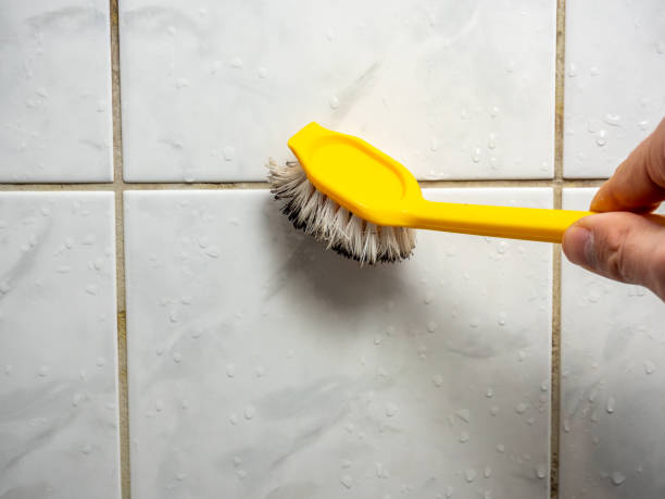  Simsbury Center, CT Mold Removal Pros