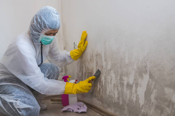 Best Crawl Space Mold Removal  in Simsbury Center, CT