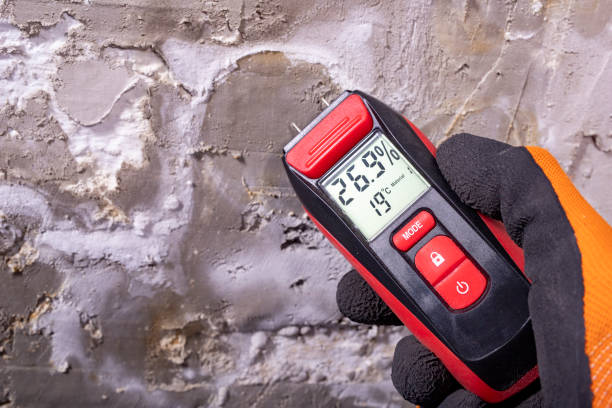 Reliable Simsbury Center, CT Mold Removal Solutions