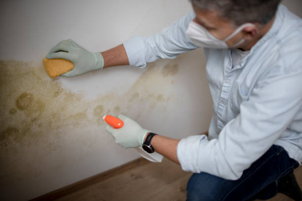 Best Emergency Mold Removal  in Simsbury Center, CT