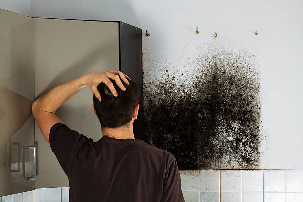 Best Attic Mold Removal  in Simsbury Center, CT