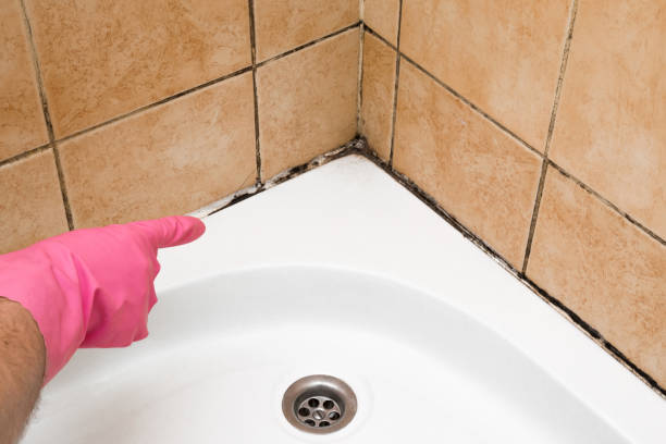 Mold Testing and Removal in Simsbury Center, CT